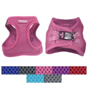 HANIF EVERGLOW-HEC import placeholder for 9919